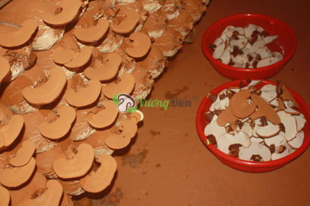 Vietnam Ganoderma Mushroom – 10 health benefits