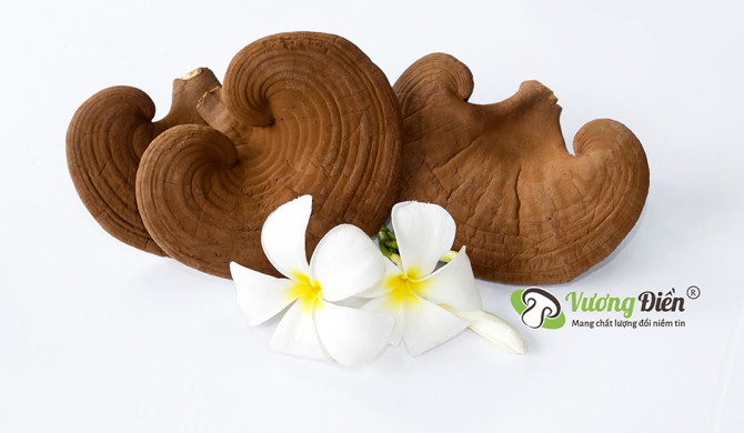 Beautiful, heathy skin with red ganoderma mushroom mask Beautiful, heathy skin with red ganoderma mushroom mask